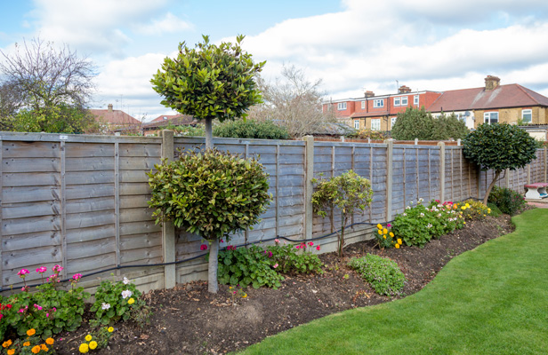 Photo of a fence in garden