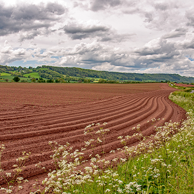 Agriculture services