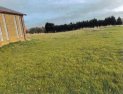 Photo of Warsop Lane, Rainworth
