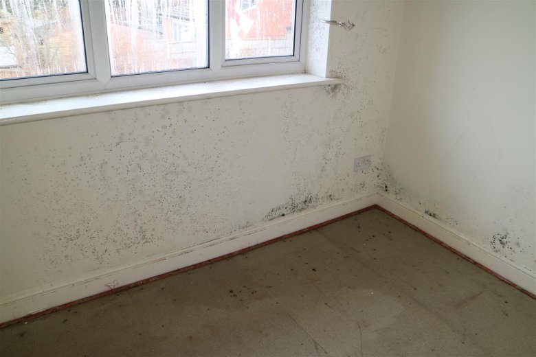 Photo of Primrose Court, Sutton-In-Ashfield